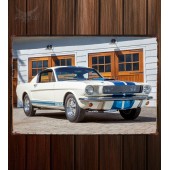 Металлическая табличка Shelby GT350 586